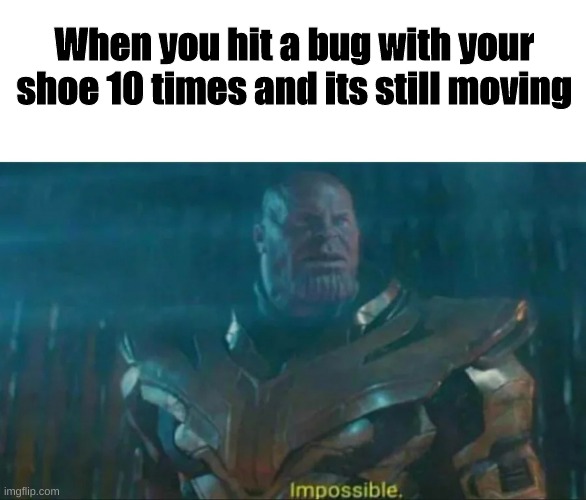 I honestly don't understand how they do it | When you hit a bug with your shoe 10 times and its still moving | image tagged in thanos impossible | made w/ Imgflip meme maker