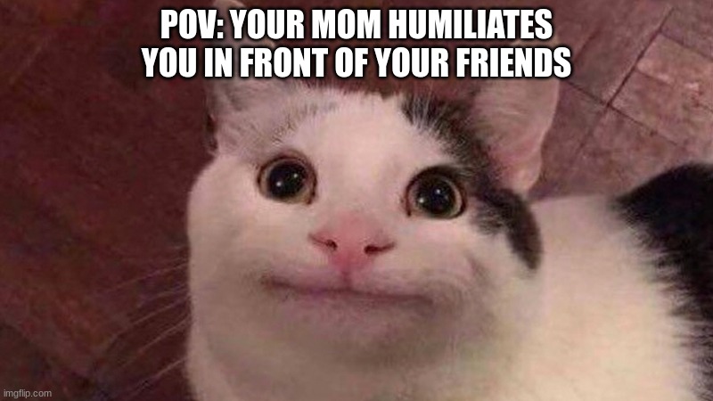 oof | POV: YOUR MOM HUMILIATES YOU IN FRONT OF YOUR FRIENDS | image tagged in polite cat,humiliation,your mom | made w/ Imgflip meme maker