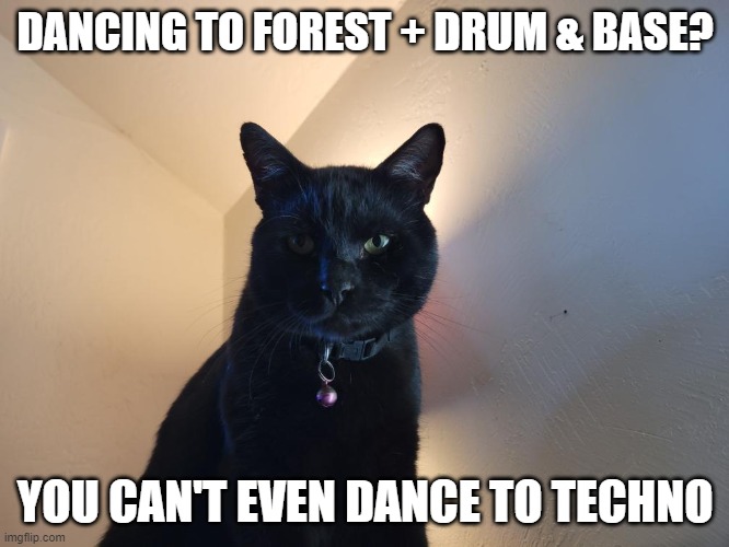 Pedro does not approve. | DANCING TO FOREST + DRUM & BASE? YOU CAN'T EVEN DANCE TO TECHNO | image tagged in psytrance memes | made w/ Imgflip meme maker