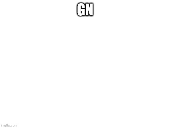 Blank White Template | GN | image tagged in blank white template | made w/ Imgflip meme maker