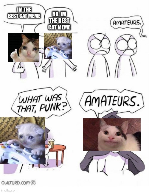 polite cat is superior | IM THE BEST CAT MEME; NO, IM THE BEST CAT MEME | image tagged in amateurs,polite cat,sad cat,sad cat thumbs up,meme | made w/ Imgflip meme maker