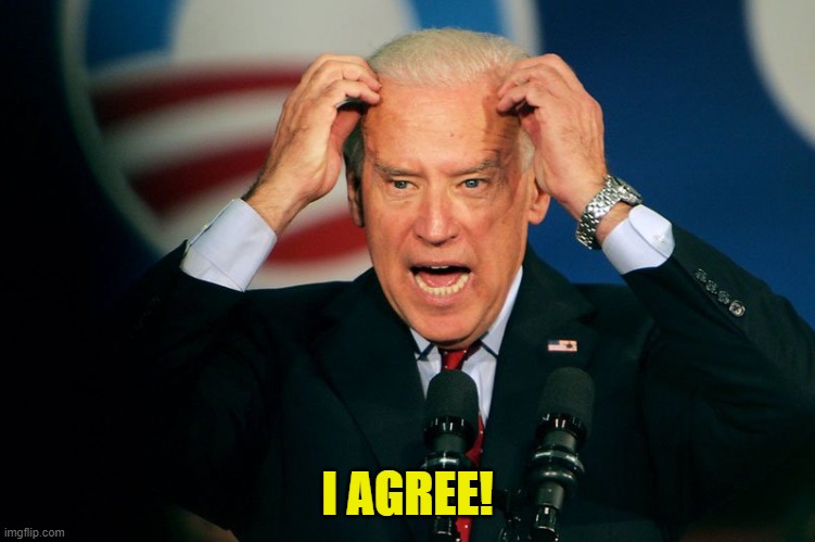 Joe Biden | I AGREE! | image tagged in joe biden | made w/ Imgflip meme maker