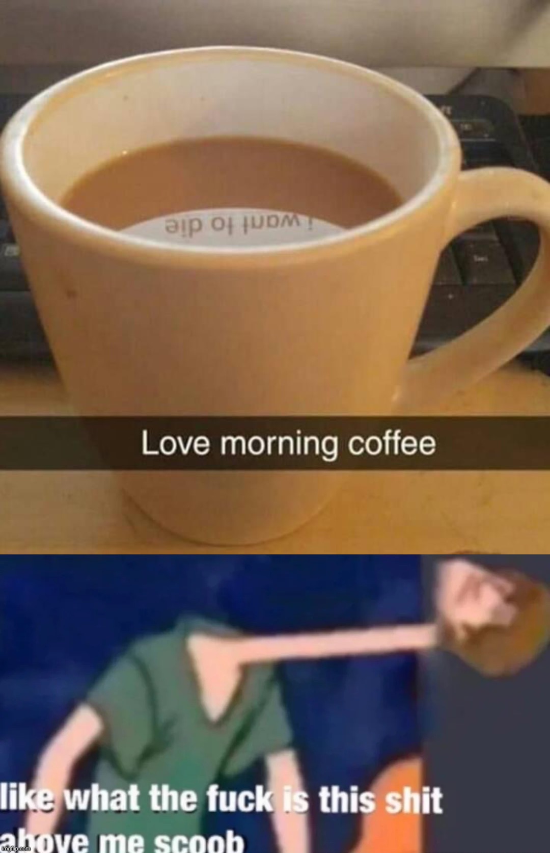 image tagged in love morning coffee,like what the f ck is this sh t above me scoob | made w/ Imgflip meme maker