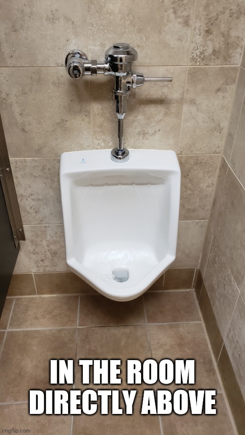 Short urinal | IN THE ROOM DIRECTLY ABOVE | image tagged in short urinal | made w/ Imgflip meme maker