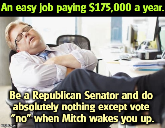 An easy job paying $175,000 a year. Be a Republican Senator and do 
absolutely nothing except vote 
"no" when Mitch wakes you up. | image tagged in republican,senators,do,nothing,sleep | made w/ Imgflip meme maker
