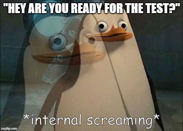 Private Internal Screaming | "HEY ARE YOU READY FOR THE TEST?" | image tagged in private internal screaming | made w/ Imgflip meme maker