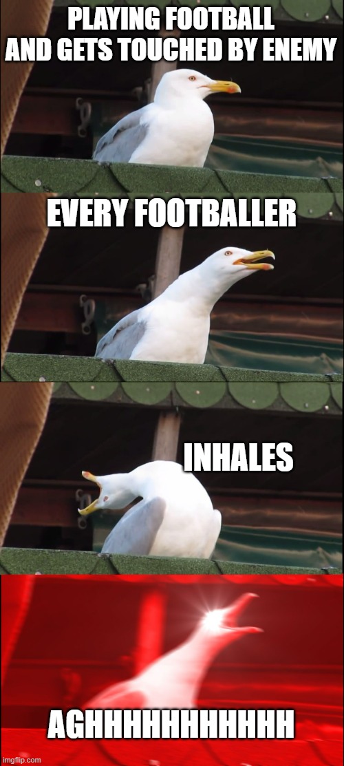 relatable football mems lol | PLAYING FOOTBALL AND GETS TOUCHED BY ENEMY; EVERY FOOTBALLER; INHALES; AGHHHHHHHHHHH | image tagged in memes,inhaling seagull | made w/ Imgflip meme maker