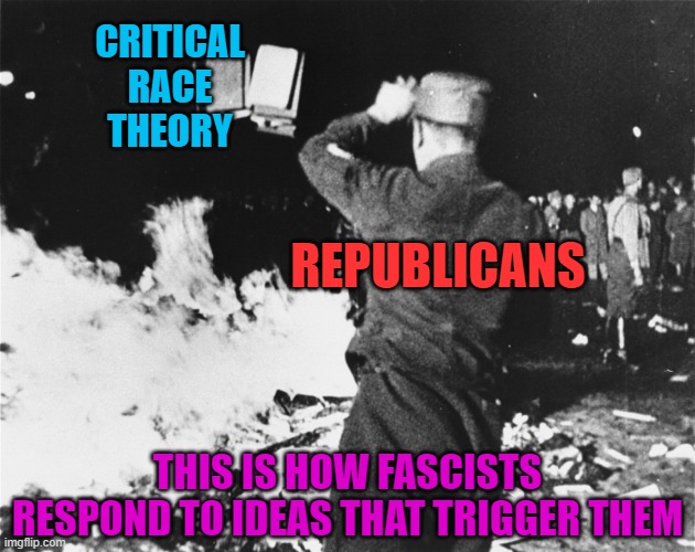 How Do You Respond To Ideas That Trigger You? | CRITICAL RACE THEORY; REPUBLICANS; THIS IS HOW FASCISTS RESPOND TO IDEAS THAT TRIGGER THEM | image tagged in book burning nazi germany,triggered,republicans,fascists,ideas,racism | made w/ Imgflip meme maker