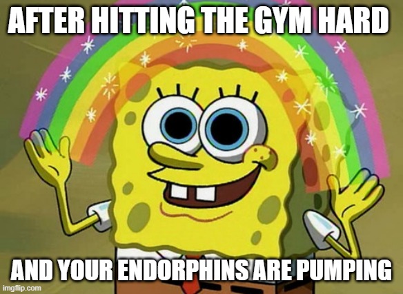 Imagination Spongebob Meme | AFTER HITTING THE GYM HARD; AND YOUR ENDORPHINS ARE PUMPING | image tagged in memes,imagination spongebob | made w/ Imgflip meme maker
