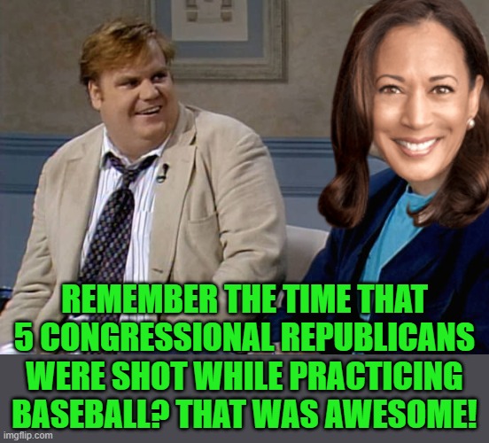 REMEMBER THE TIME THAT 5 CONGRESSIONAL REPUBLICANS WERE SHOT WHILE PRACTICING BASEBALL? THAT WAS AWESOME! | image tagged in remember that time | made w/ Imgflip meme maker