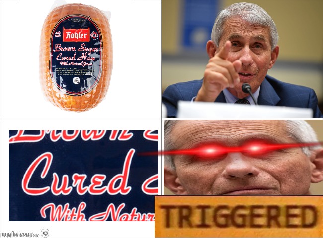 verboten | image tagged in basic four panel meme,dr fauci,triggered | made w/ Imgflip meme maker