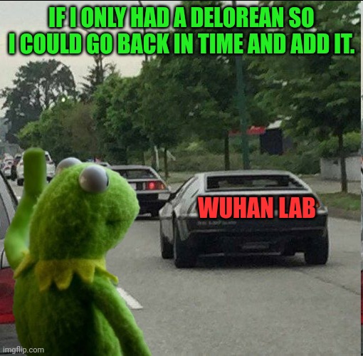 IF I ONLY HAD A DELOREAN SO I COULD GO BACK IN TIME AND ADD IT. WUHAN LAB | made w/ Imgflip meme maker