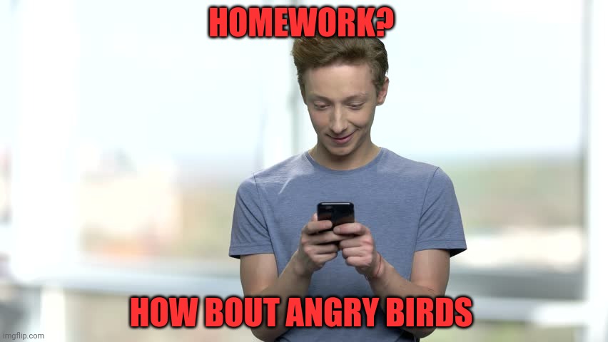 HOMEWORK? HOW BOUT ANGRY BIRDS | made w/ Imgflip meme maker