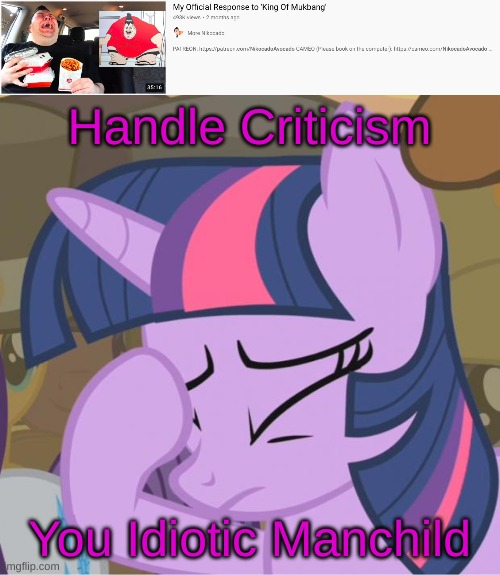 lol | Handle Criticism; You Idiotic Manchild | image tagged in mlp twilight sparkle facehoof,mlp,my little pony,my little pony friendship is magic,memes,criticism | made w/ Imgflip meme maker