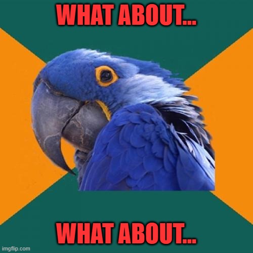 Paranoid Parrot Meme | WHAT ABOUT... WHAT ABOUT... | image tagged in memes,paranoid parrot | made w/ Imgflip meme maker