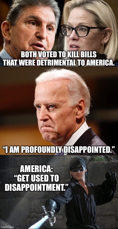 BOTH VOTED TO KILL BILLS THAT WERE DETRIMENTAL TO AMERICA. “I AM PROFOUNDLY DISAPPOINTED.”; AMERICA: “GET USED TO DISAPPOINTMENT.” | made w/ Imgflip meme maker