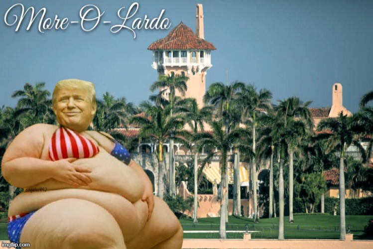 more-o-lardo | image tagged in more-o-lardo,mar-a-lago,clown car republicans,donald trump the clown,florida,idiot | made w/ Imgflip meme maker