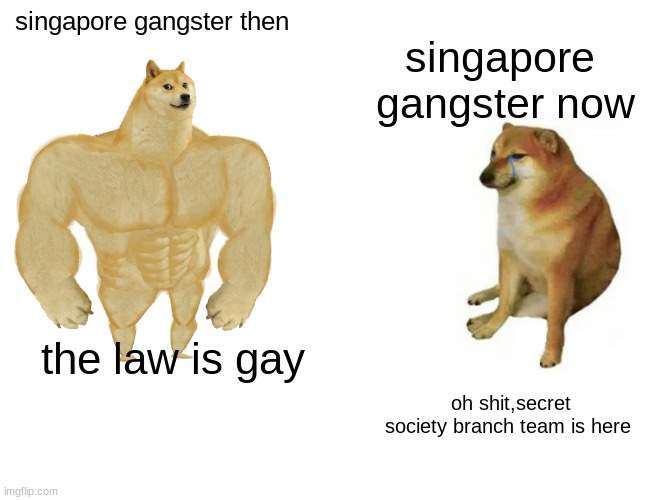 bruh moment | singapore gangster then; singapore  gangster now; the law is gay; oh shit,secret society branch team is here | image tagged in memes,buff doge vs cheems | made w/ Imgflip meme maker