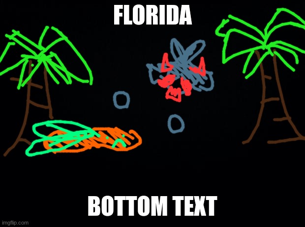 what is this | FLORIDA; BOTTOM TEXT | image tagged in black background | made w/ Imgflip meme maker