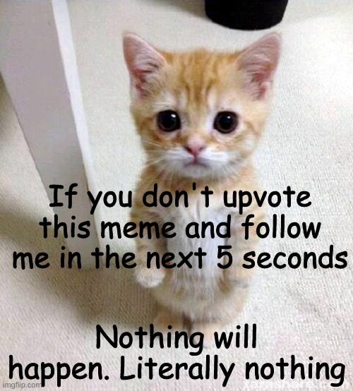 Legitimitly no use for empty threats. | If you don't upvote this meme and follow me in the next 5 seconds; Nothing will happen. Literally nothing | image tagged in memes,cute cat,upvote begging,stupid people | made w/ Imgflip meme maker