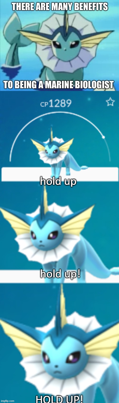 HOLD UP!!! | hold up; hold up! HOLD UP! | image tagged in it would be such a shame if vaporeon | made w/ Imgflip meme maker