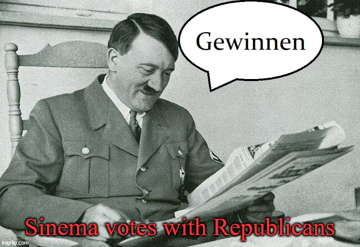 Anti-Democratic scum | Sinema votes with Republicans | image tagged in traitor,nazi,shame,adolf hitler | made w/ Imgflip meme maker
