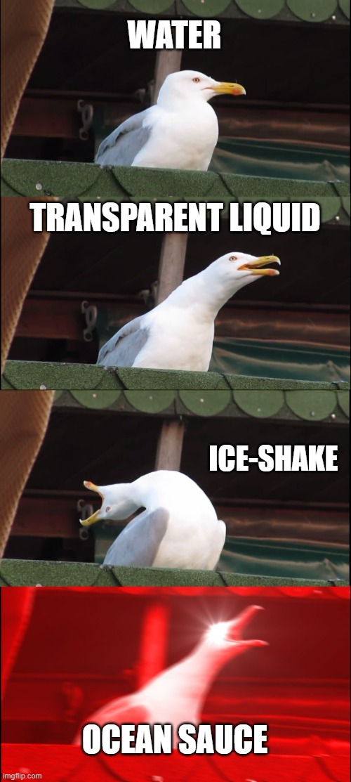 Inhaling Seagull | WATER; TRANSPARENT LIQUID; ICE-SHAKE; OCEAN SAUCE | image tagged in memes,inhaling seagull | made w/ Imgflip meme maker