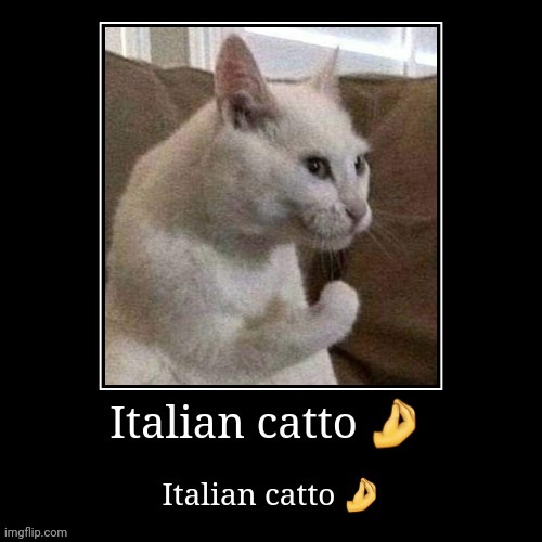 Italian catto | image tagged in italian,catto | made w/ Imgflip meme maker