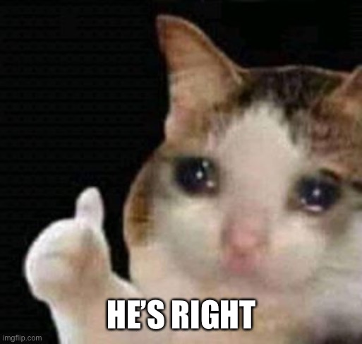 sad thumbs up cat | HE’S RIGHT | image tagged in sad thumbs up cat | made w/ Imgflip meme maker