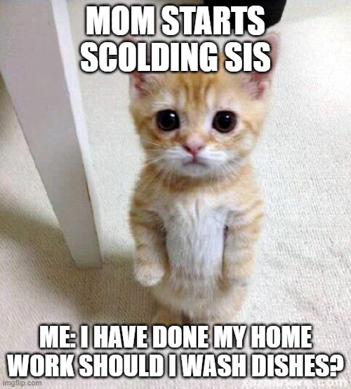 Cute Cat Meme | MOM STARTS SCOLDING SIS; ME: I HAVE DONE MY HOME WORK SHOULD I WASH DISHES? | image tagged in memes,cute cat | made w/ Imgflip meme maker