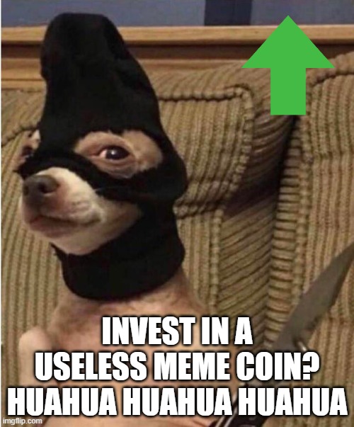 HUAHUA | INVEST IN A USELESS MEME COIN?
HUAHUA HUAHUA HUAHUA | image tagged in huahua | made w/ Imgflip meme maker