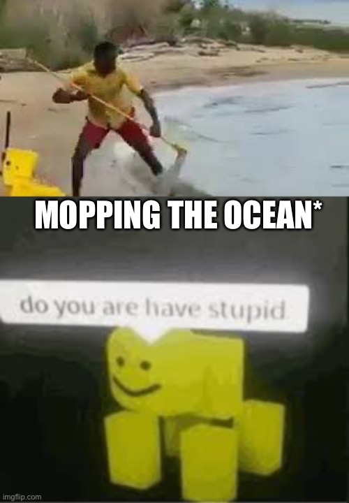 Do u are have stupid | MOPPING THE OCEAN* | image tagged in do you are have stupid | made w/ Imgflip meme maker