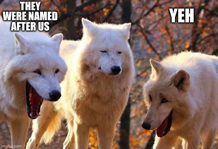 Laughing wolf | THEY WERE NAMED AFTER US YEH | image tagged in laughing wolf | made w/ Imgflip meme maker