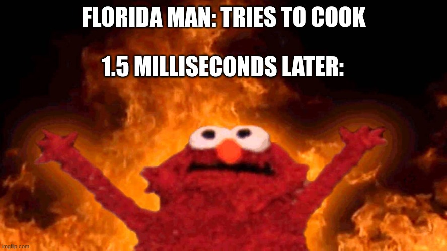 :D | FLORIDA MAN: TRIES TO COOK; 1.5 MILLISECONDS LATER: | image tagged in elmo fire | made w/ Imgflip meme maker