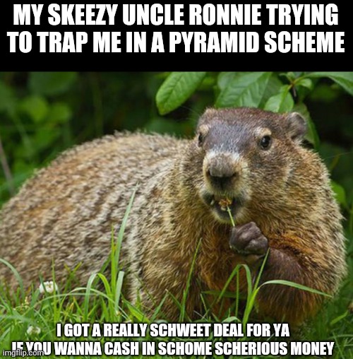 Skeezy gopher | MY SKEEZY UNCLE RONNIE TRYING TO TRAP ME IN A PYRAMID SCHEME; I GOT A REALLY SCHWEET DEAL FOR YA IF YOU WANNA CASH IN SCHOME SCHERIOUS MONEY | image tagged in skeezy gopher | made w/ Imgflip meme maker