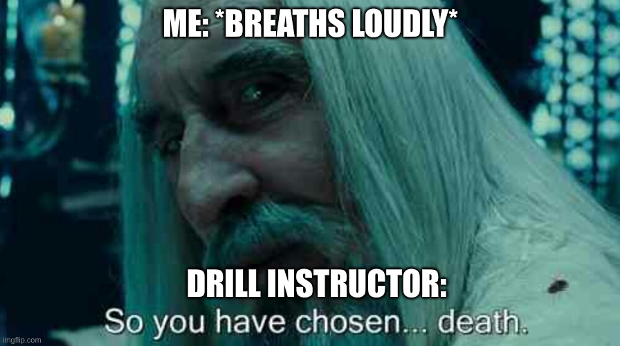 Drill Sergeants will get mad at you if you breathe a little louder. |  ME: *BREATHS LOUDLY*; DRILL INSTRUCTOR: | image tagged in so you have chosen death,army,drill sergeant | made w/ Imgflip meme maker