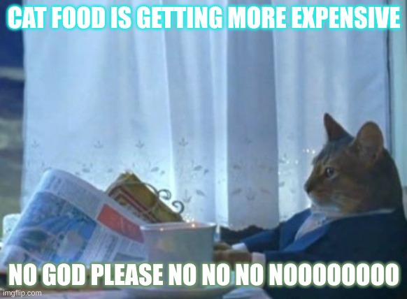 Read the new york times | CAT FOOD IS GETTING MORE EXPENSIVE; NO GOD PLEASE NO NO NO NOOOOOOOO | image tagged in memes,i should buy a boat cat,cat | made w/ Imgflip meme maker