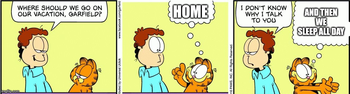 The best kind of vacation | HOME; AND THEN WE SLEEP ALL DAY | image tagged in garfield comic vacation,vacation | made w/ Imgflip meme maker