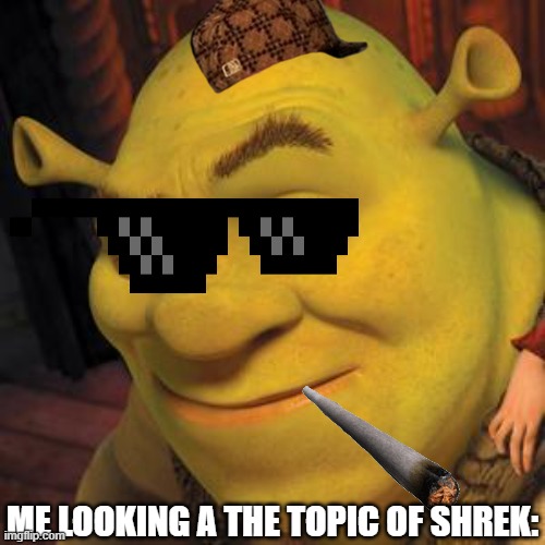 Shrek Sexy Face | ME LOOKING A THE TOPIC OF SHREK: | image tagged in shrek sexy face | made w/ Imgflip meme maker