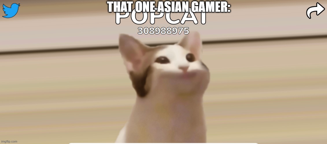 in my popcat game |  THAT ONE ASIAN GAMER: | image tagged in popcat,meme,games | made w/ Imgflip meme maker