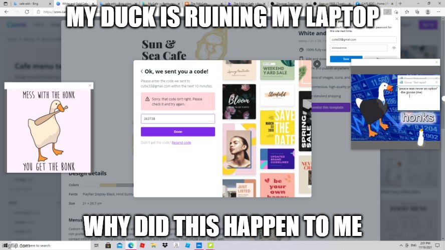 Laptop Goose |  MY DUCK IS RUINING MY LAPTOP; WHY DID THIS HAPPEN TO ME | image tagged in dumbest man alive blank | made w/ Imgflip meme maker