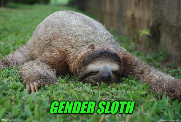 Sleeping sloth | GENDER SLOTH | image tagged in sleeping sloth | made w/ Imgflip meme maker