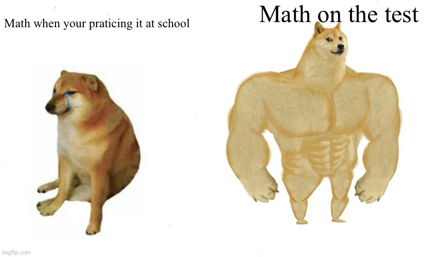Buff Doge vs. Cheems (reversed) | Math on the test; Math when your praticing it at school | image tagged in buff doge vs cheems reversed | made w/ Imgflip meme maker