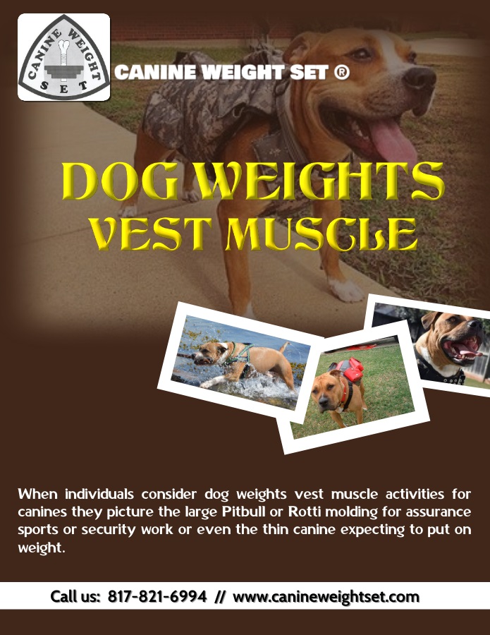Dog Weights Vest Muscle Blank Meme Template