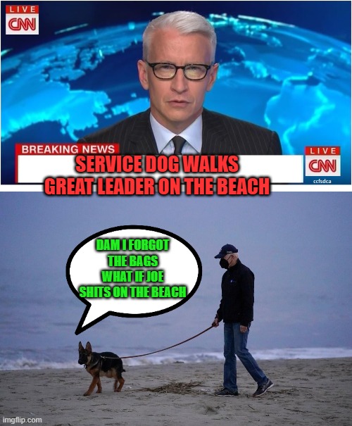 yep | SERVICE DOG WALKS GREAT LEADER ON THE BEACH; DAM I FORGOT THE BAGS WHAT IF JOE SHITS ON THE BEACH | image tagged in joe biden | made w/ Imgflip meme maker