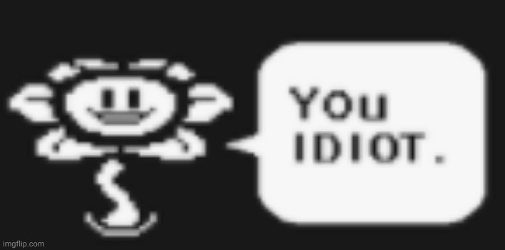 Flowey you idiot | image tagged in flowey you idiot | made w/ Imgflip meme maker