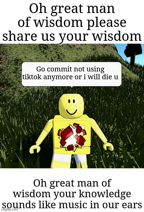 This is my new template | Go commit not using tiktok anymore or i will die u | image tagged in man of wisdom,memes,tiktok,tiktok sucks,roblox,funny | made w/ Imgflip meme maker