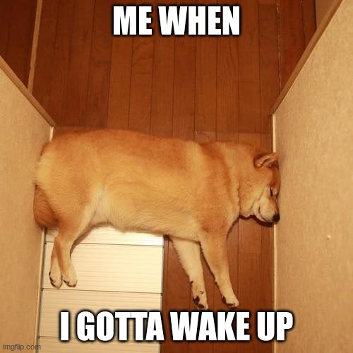Me when | ME WHEN; I GOTTA WAKE UP | image tagged in new template,funny memes,dogestuck | made w/ Imgflip meme maker
