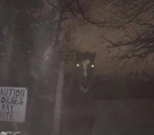 I forgot if i already posted this so if I did sorry | made w/ Imgflip meme maker