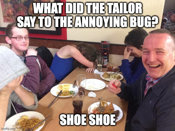 This joke went down heel | WHAT DID THE TAILOR SAY TO THE ANNOYING BUG? SHOE SHOE | image tagged in dad joke meme | made w/ Imgflip meme maker